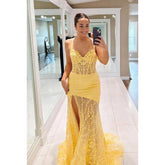 Elegant & Luxurious Spaghetti Straps V-neck Mermaid Side Slit Lace Applique Prom Dress