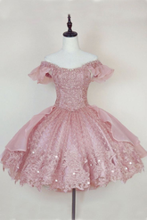 Princess Pink Lace Applique Short Homecoming Dress Y2502