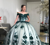 Robe de bal épaules dénudées ornée de fleurs 3D - Robe d'anniversaire romantique 15-16 ans - Robe de quinceañera Y1475