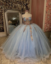 Robe de bal pour quinceañera, décolleté en cœur, appliques florales, robe de princesse pour 16 ans (Y2613)