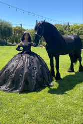Robe de bal noire à épaules dénudées, robe de Sweet 16, robe de Quinceañera Y5299