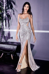 Sexy Formal Prom Long Dress