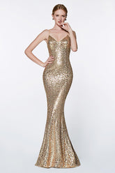 Sexy Formal Long Gown Evening Dress