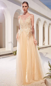 Lace Applique Bodice Glitter Tulle A-Line Gown