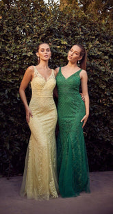 Robe de bal sirène longue et sans manches