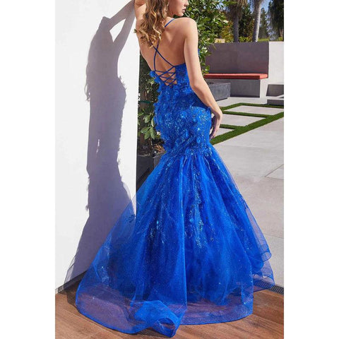V-Neck Spaghetti Straps Appliqued Tulle Mermaid Long Prom Evening Dress