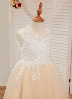 Vestido rosa de corte A, largo hasta el suelo, de tul y encaje (010226589) 