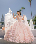 Vestido rosa para quinceañera, vestido de gala rosa con flores 3D, vestido de princesa rosa Y2337