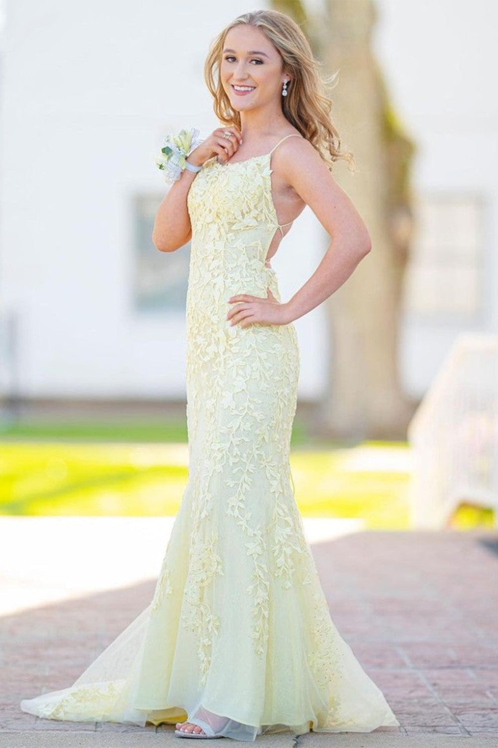 Spaghetti Straps Backless Appliques Prom Dress
