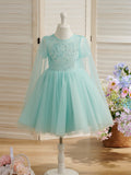 Vestido de princesa/vestido de tul hasta la rodilla para fiesta de primer cumpleaños de niña 