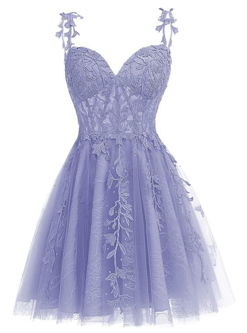 Spaghetti Straps Sweetheart Neck Tulle Lace Homecoming Dress for Teens Y2167
