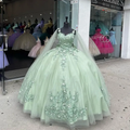 Vestido de quinceañera verde menta con flores 3D, vestido de baile, vestido de fiesta, vestido de dulce 15 Y4481