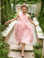 Vestido rosa de organza de corte A hasta la rodilla (010220821) 