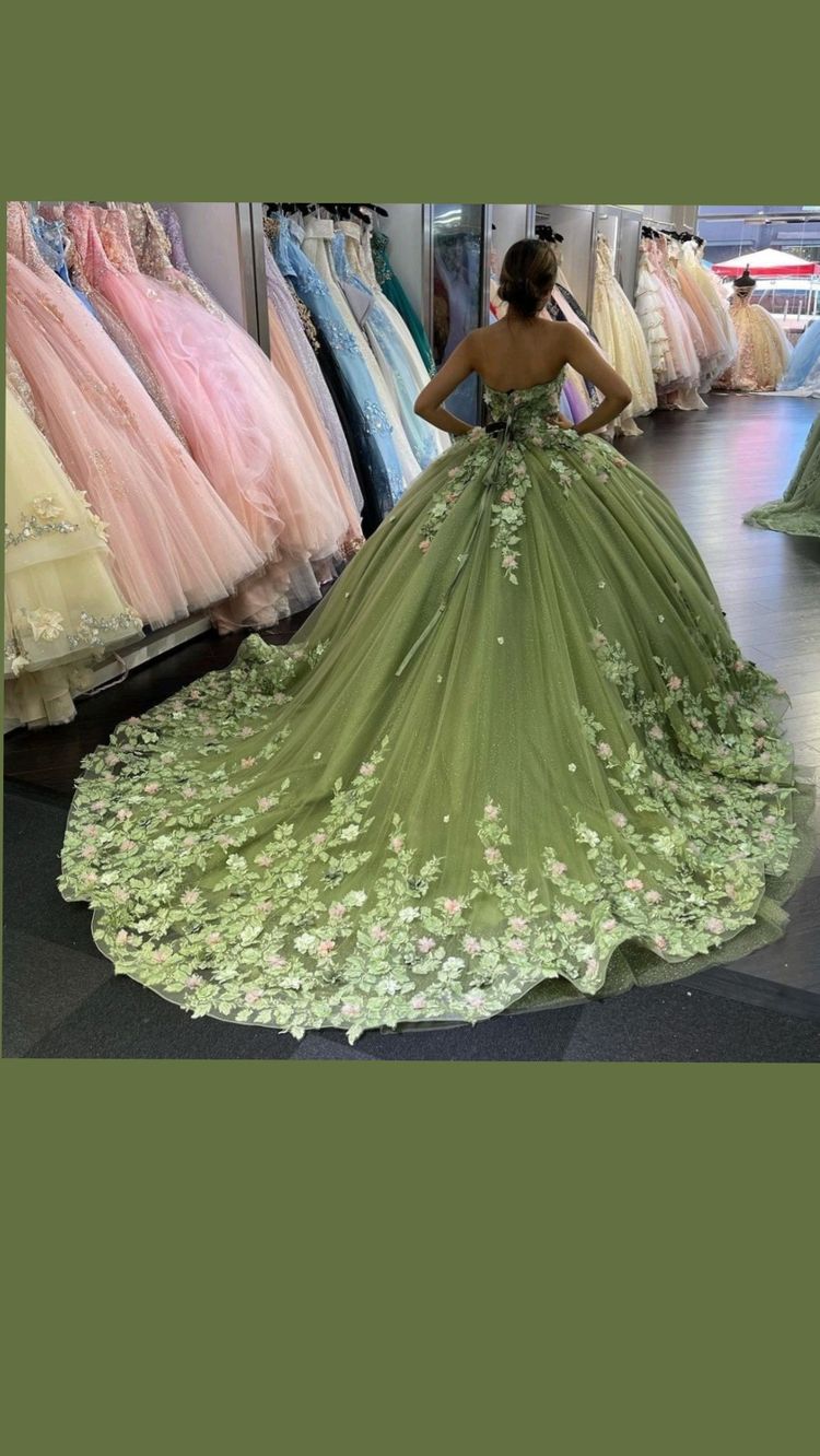Robe de bal de princesse verte pour Quinceañera, ornée d'appliques florales 3D, idéale pour les 15 ans (Y121)