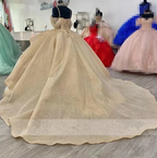 Robe de bal princesse champagne scintillante, robe de quinceañera à bretelles élégantes et appliques, robe de sweet 16 Y4150