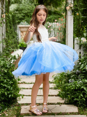 Vestido de princesa/vestido de tul azul hasta la rodilla para niña de las flores 