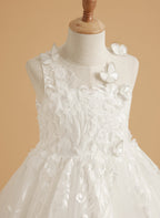 Vestido de princesa rosa para niñas con apliques de encaje 