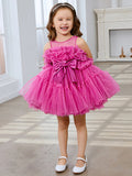 Encantador vestido rosa de princesa sin mangas de tul para niña de las flores con detalle de lazo (010224355) 