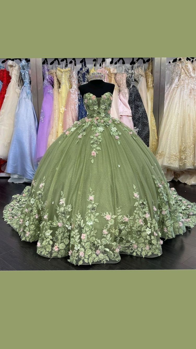 Robe de bal de princesse verte pour Quinceañera, ornée d'appliques florales 3D, idéale pour les 15 ans (Y121)