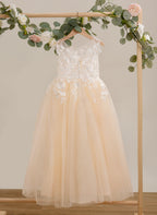 Vestido rosa de corte A, largo hasta el suelo, de tul y encaje (010226589) 