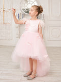 Vestido de niña de las flores de tul sin mangas estilo princesa con cuentas y lazo de plumas (010224704) 