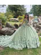 Vestido de quinceañera de princesa verde de lujo con hombros descubiertos, apliques de flores 3D, vestido de baile Y4147