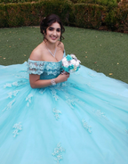 Vestido de princesa de tul y encaje con hombros descubiertos Y3087