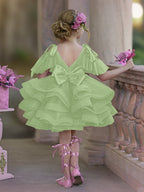 Vestido de princesa/vestido de tul hasta la rodilla para niña de las flores de cumpleaños