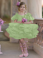 Vestido de princesa/vestido de tul hasta la rodilla para niña de las flores de cumpleaños