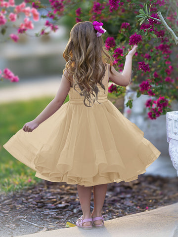 Vestido de princesa/vestido de tul hasta la rodilla para niña de las flores 