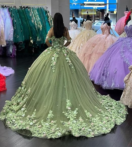 Robe de bal de princesse verte de luxe pour quinceañera, épaules dénudées, applications florales 3D, référence Y4147