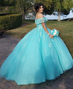 Vestido de princesa de tul y encaje con hombros descubiertos Y3087