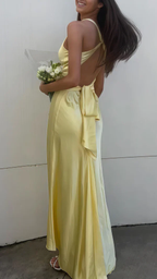 Robe de soirée sirène dos nu sexy en satin Y8119