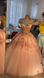 Robe de bal rose poudré à fleurs appliquées, robe de bal en tulle coupe A, robe de quinceañera Y388