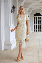 Vestido corto de noche estilo chino con bordado para mujer, manga corta, ideal para fiestas, bodas y compras (SY28105)