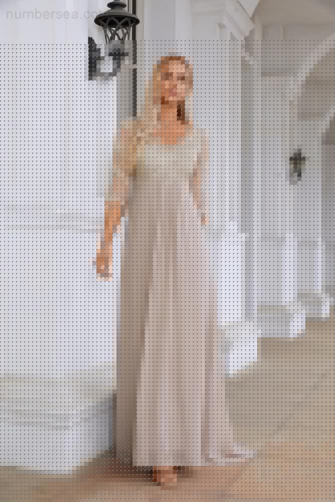 Robe de mariée/de fête en mousseline à col en V et manches longues mi-longues pour la mère de la mariée (SY28108)