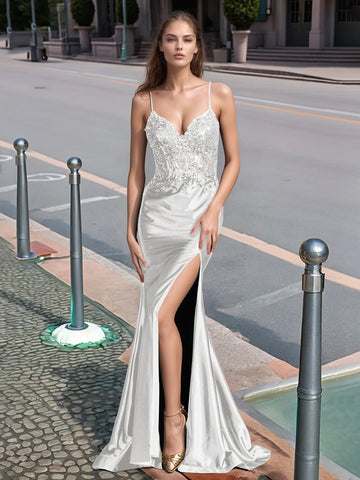 Sparkly Lace Sheer Bodice Long Mermaid Prom Dress