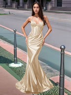 Pleated V-neck Boiced Mermaid Long Prom Dress
