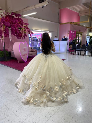 Vestido de quinceañera color champán con flores, vestido de quinceañera estilo bosque, vestido de gala con hombros descubiertos Y3026