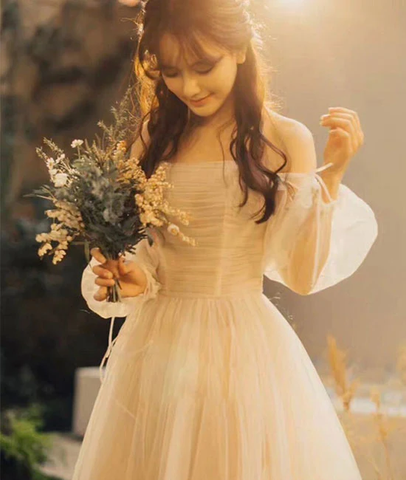 Robe de bal longue en tulle champagne, robe de soirée en tulle champagne Y257