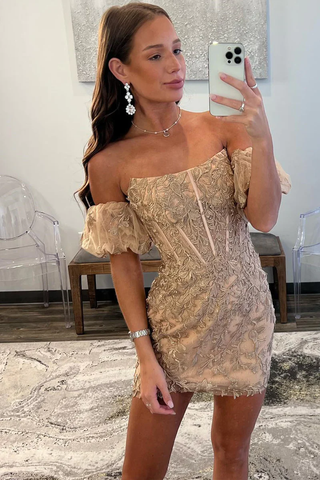 Robe fourreau bustier en dentelle avec appliques Y2998