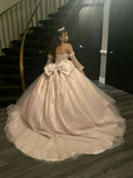 Robe de bal de quinceañera en tulle ornée d'appliqués glamour, robe de 16 ans Y7323
