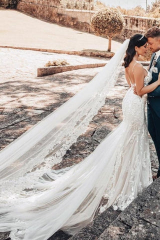 Vestido de novia de tul sin mangas, escote en V y encaje, hasta el suelo.