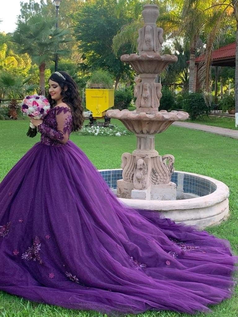 Vestido de quinceañera de manga larga con apliques de flores, vestido de gala para ocasiones especiales, vestido de dulce 16 Y4309