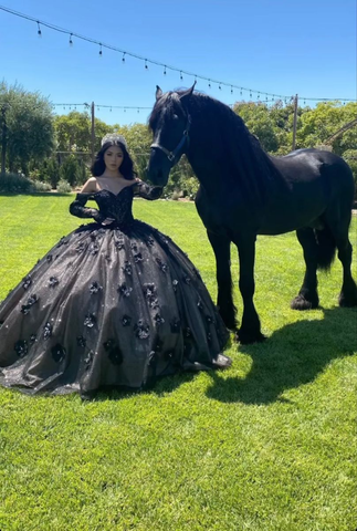 Robe de bal noire à épaules dénudées, robe de Sweet 16, robe de Quinceañera Y5299