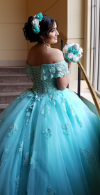 Vestido de princesa de tul y encaje con hombros descubiertos Y3087