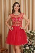 Vestidos cortos de noche con escote corazón y apliques de encaje de corte en A