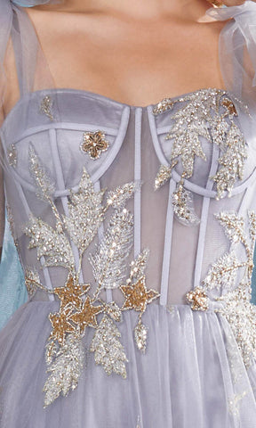 Robe de bal simple trapèze à décolleté cœur