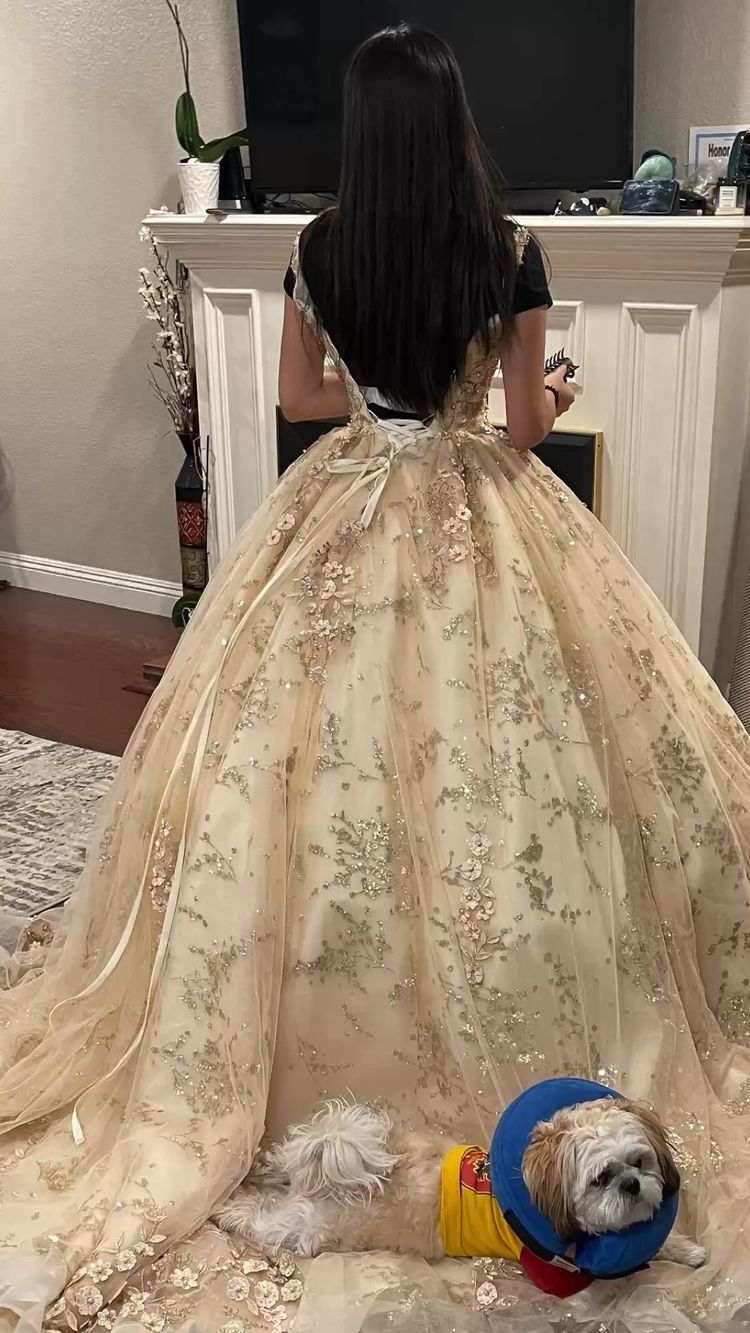 Vestido de quinceañera de lujo color champán con escote en V, vestido de princesa, vestido de baile color champán Y593