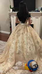 Vestido de quinceañera de lujo color champán con escote en V, vestido de princesa, vestido de baile color champán Y593